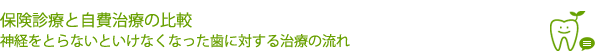 保険診療と自費治療の比較